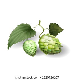 HOP FLORAL BOTANY ILLUSTRATION DESIGN