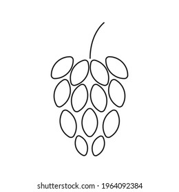 Hop flower icon design. vector illustration