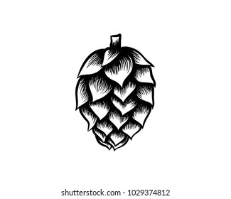 Hop Fruit Craft Beer Hand Drawing Sing Symbol Logo Vector