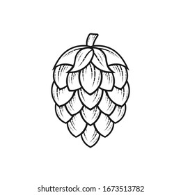 Hop icon isolated on white. Beer hop brewing emblem icon label logo, Vector illustration.