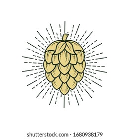 Hop icon isolated on white. Beer hop brewing emblem icon label logo, Vector illustration.