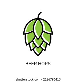 Hop icon vector beer cone pine illustration leaf art bud green decoration. Beer fresh hop icon isolated