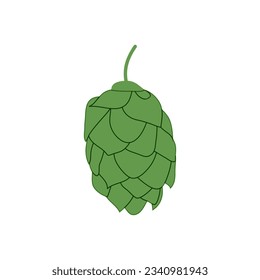 Hop icon vector beer cone pine illustration leaf art bud green decoration. Beer fresh hop icon isolated. Vector illustration