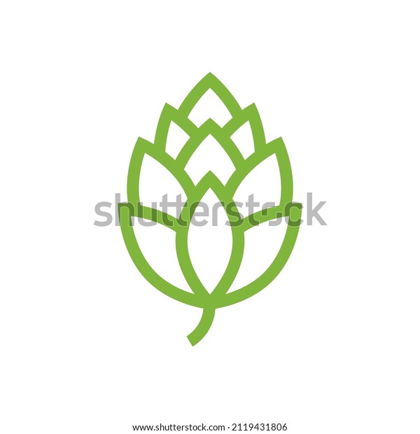 Hop icon vector\
beer cone pine illustration leaf art bud green decoration. Beer\
fresh hop icon isolated