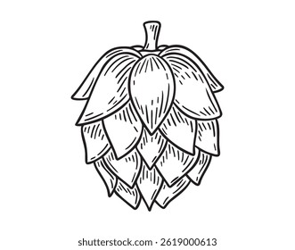 Hop for labels and packaging. hop icon doodle hand drawn. Outline drawing hop line clipart symbol. Vector illustration
