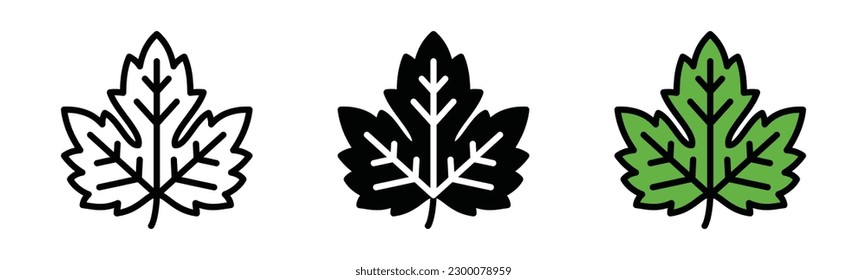 Hop leaf icon vector. Maple or hops leaf icons in line, flat, and color style with editable stroke on white background. Vector illustration