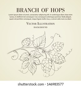 Hop with leafs isolated on biege. Vector illustration.