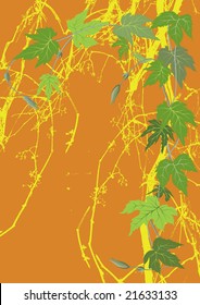 Hop leaves and sprouts on the grunge background.