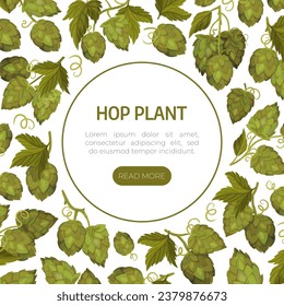 Hop Plant Banner Design with Green Branch with Cone and Leaves Vector Template