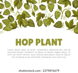 Hop Plant Banner Design with Green Branch with Cone and Leaves Vector Template