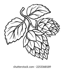 Hop plant branch with leaves and lump of hops in engraving style. Beer pub rural vector elements. Vector plant leaf hop for beer illustration