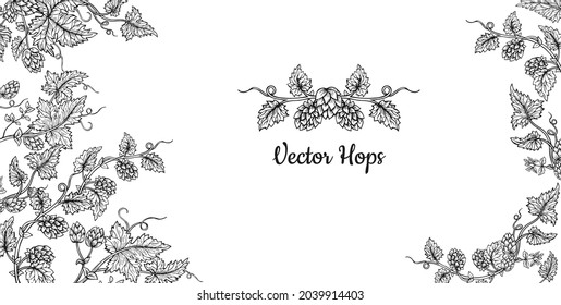 Hop plant branch sketch black frame. Sketches for beer packing design, label. Exotic botanical decoration hand drawn. Hops with leaves and cones herb event invitation card template, editable vector