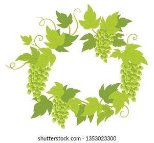 Hop plant frame circle banner. Round border frame. Place for text name or logo. Hop green leaves and cones. Vector flat Illustration for bar or beer advertising.