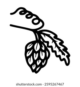 Hop plant. Hand drawn doodle. Climbing stem, flower stalk, leaf. Cone for making beer. Herbal plant. Vector line art illustration.