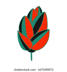 planta de lúpulo. icono diseño.ilustración vectorial. elemento dibujado a mano de un estilo plano. Diseño de plantilla de carteles, fondos de escritorio, tazas, pantalones, postales. 