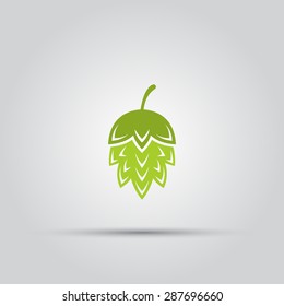 Hop plant isolated vector colored icon