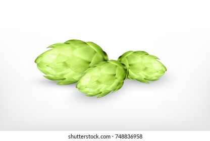 Hop plant. Vector icon. 3d illustration. EPS10 vector