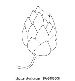 Hop plant vector outline icon. Vector illustration humulus flower on white background. Isolated outline illustration icon of hop plant.