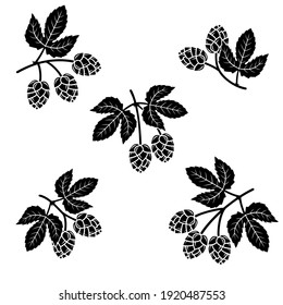 Hop set. Collection icon hops. Vector