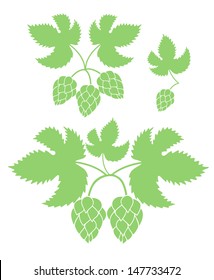 Hop set. Isolated hop on white background