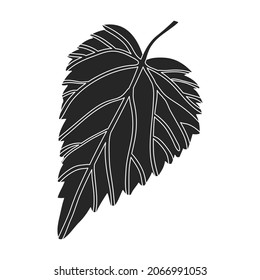Hop vector black icon. Isolated black illustration icon humulus. Vector illustration hop on white background.