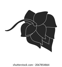 Hop vector black icon. Isolated black illustration icon humulus. Vector illustration hop on white background.
