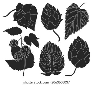 Hop vector black set icon. Isolated black set icon humulus. Vector illustration hop on white background.