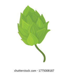 Hop vector cartoon icon. Isolated cartoon illustration icon humulus. Vector illustration hop on white background.