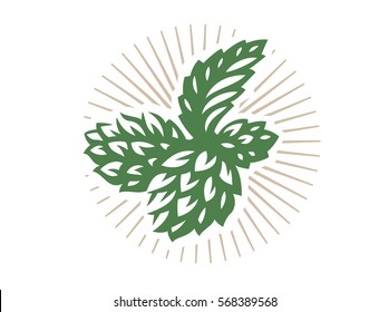 Hop - vector illustration, design on white background.