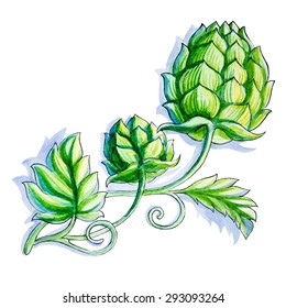 hop vector watercolor