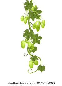 Hop. Una rama vertical con hojas densas y conos divertidos. Saltos hundidos con hojas. Naturaleza salvaje. Ilustración de estilo plano. Vector