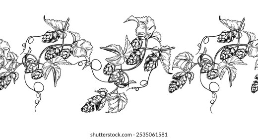 Hop vine, humulus cone black white graphic vector seamless border isolated. Hop cones branch leaves painted engraving in botanical sketch repeated background for design textile, packaging. Hops liana.