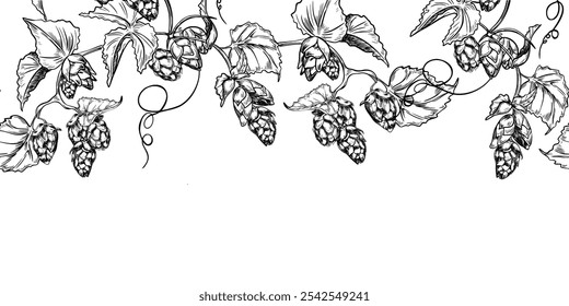 Hop vine, humulus cone black white graphic vector seamless border isolated. Hop cones branch leaves painted engraving in botanical sketch repeated background for design textile, packaging. Hops liana