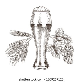 Hop and wheat stack and foamy alcohol beer in glass isolated on white. Ale in goblet and raw for tasty drink isolated on white vector illustration