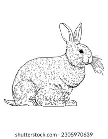 Hoppy Harmony: Embark on a Whimsical Adventure with our Bunny Outline Coloring Page for Adult Coloring Book Relaxation