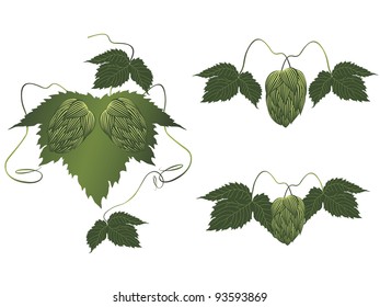 hops