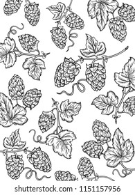 Hops background cartoon coloring vector illustration. White background. Comic book style imitation.