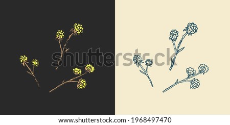 Hops and Barley. Malt Beer. Engraved vintage set. Hand drawn collection. Sketch for web or pub menu. Design elements isolated on white background.