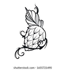 hops beer vector illustration isolated on the white background