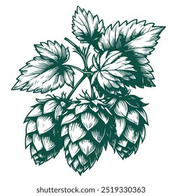 Hops with a bottle of beer, isolated on white background, simple, vector in line art style