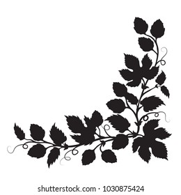 Hops cones and flowers with leaves, hand drawn vector silhouette corner
