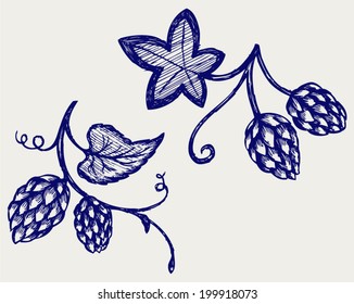 Hops. Doodle style