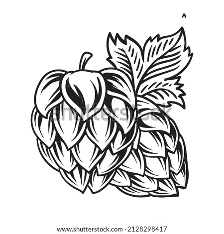 hops fruit beer for logo