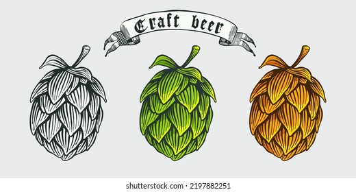 Hopfen, handgezeichnete Gravierstil-Illustration mit Band. Oktoberfest, Vektorsymbol. Ideal für Bierfestivals, Zeilenzeichnung, Brauereiplakate, Bars T-Shirts, Banner im Skizzenstil.