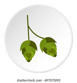 Hops icon. Flat illustration of hops vector icon for web