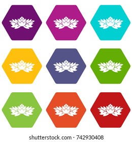 Hops icon set many color hexahedron isolated on white vector illustration