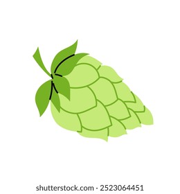 Lúpulo. Un ingrediente para hacer cerveza. Una planta herbácea trepadora. Cono de salto. Ilustración sobre fondo blanco.