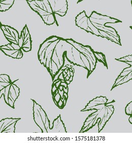 hops leaf contours in pencil