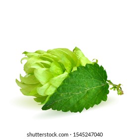 Hops low poly. Fragrant hop plant.  The art of brewing. Hops in triangulation technique.