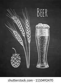 Hops, malt and beer glass. Chalk sketch on blackboard background. Hand drawn vector illustration. Retro style.